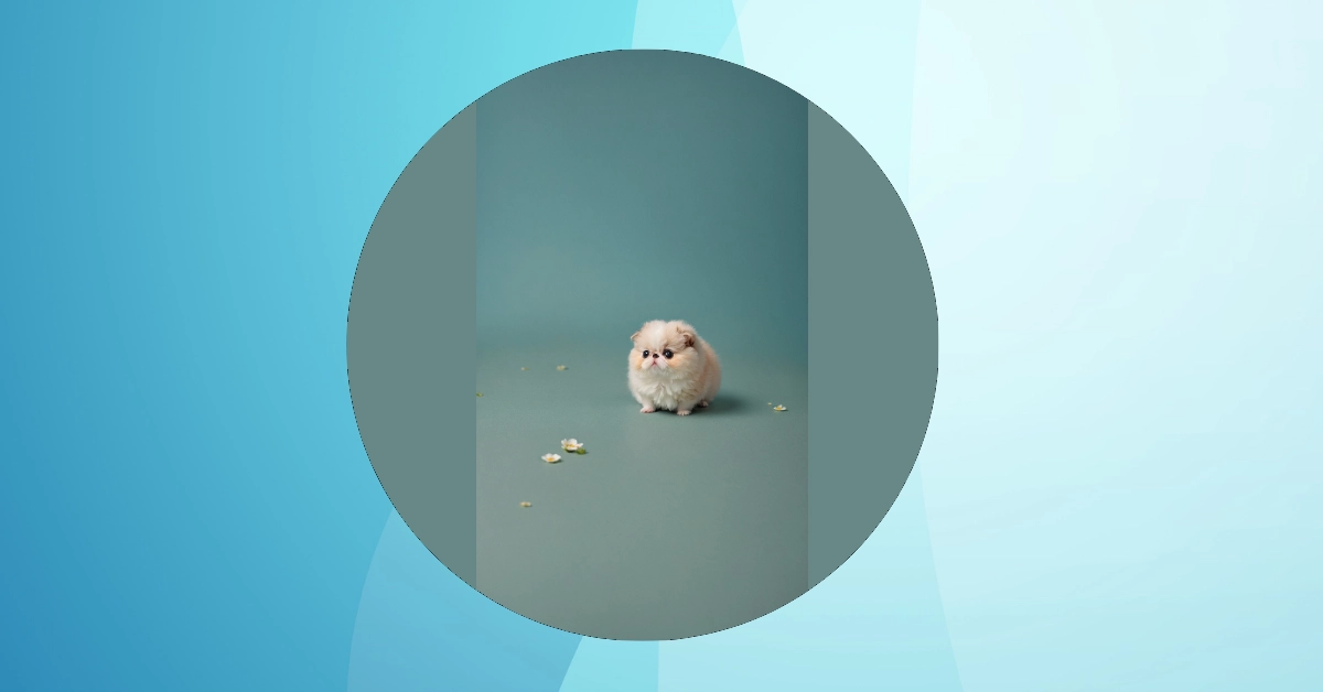 Discover the Cutest Cute Wallpapers: 08 Ideas for a Fun Tech Refresh