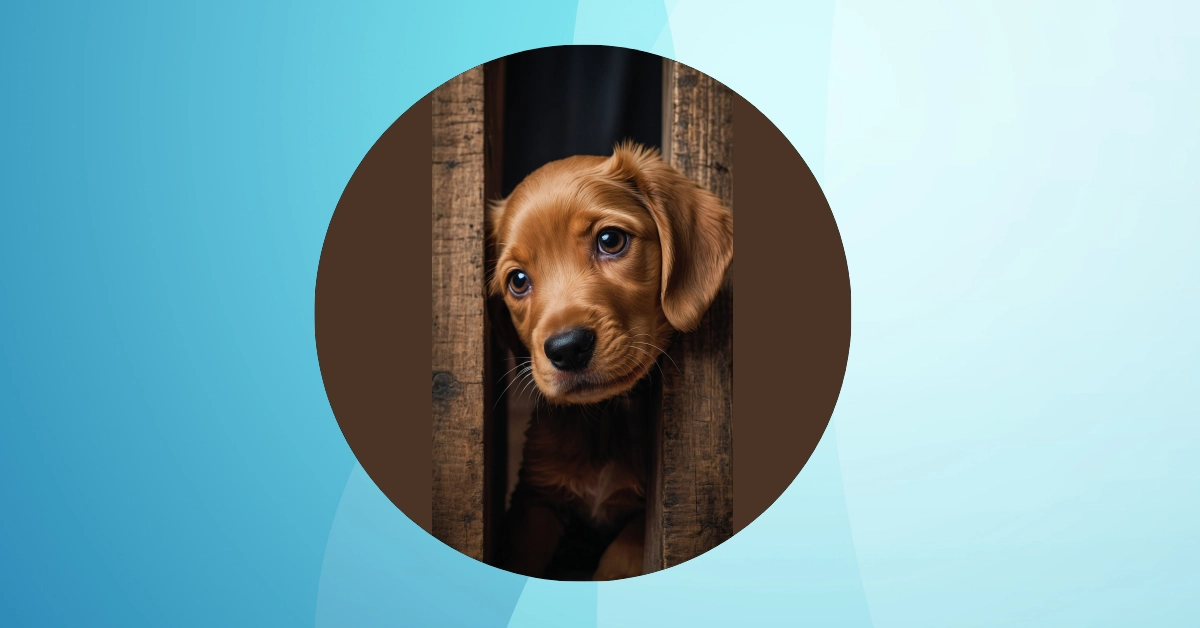 Spruce Up Your Screens with These Puppy Wallpaper Styles