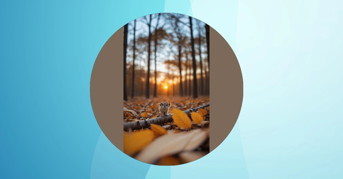 12 Cute Wallpaper Ideas That Celebrate Aesthetic Bliss