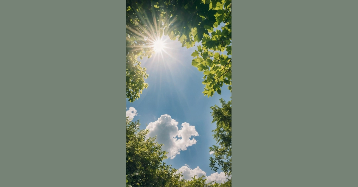 Sunshine Awaits: 6 Vibrant Wallpaper Inspirations